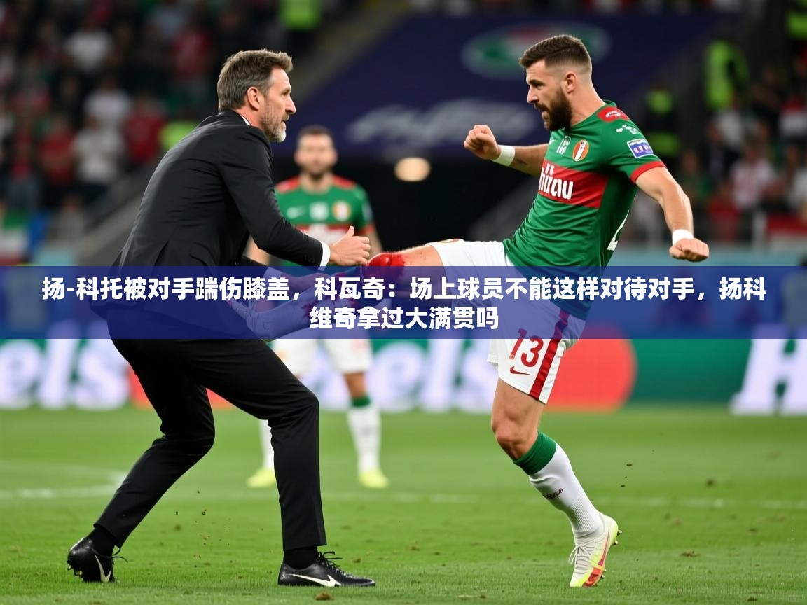 2025安博体育在线官网登录扬-科托被对手踹伤膝盖,科瓦奇:场上球员不能这样对待对手,扬科维奇拿过大满贯吗 第1张