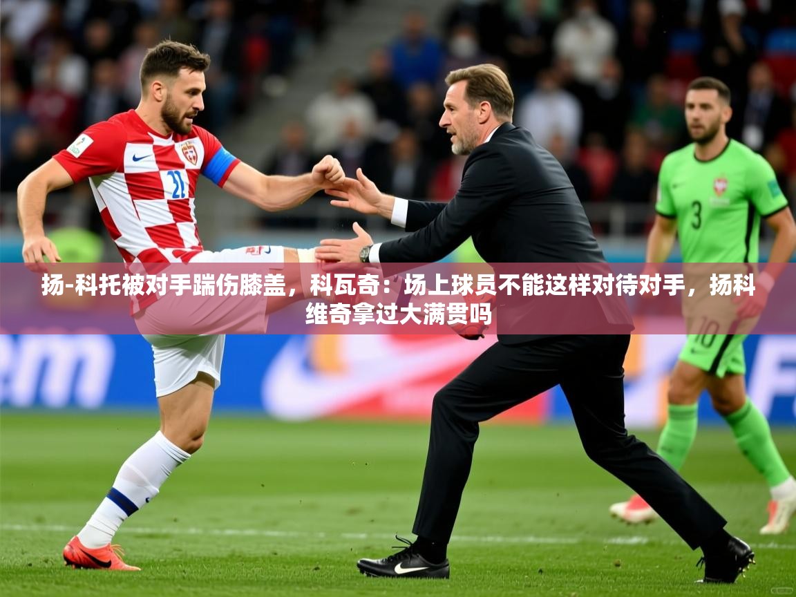 2025安博体育在线官网登录扬-科托被对手踹伤膝盖,科瓦奇:场上球员不能这样对待对手,扬科维奇拿过大满贯吗 第2张