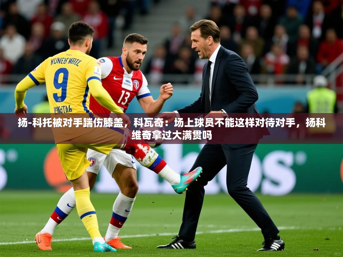 2025安博体育在线官网登录扬-科托被对手踹伤膝盖,科瓦奇:场上球员不能这样对待对手,扬科维奇拿过大满贯吗 第3张