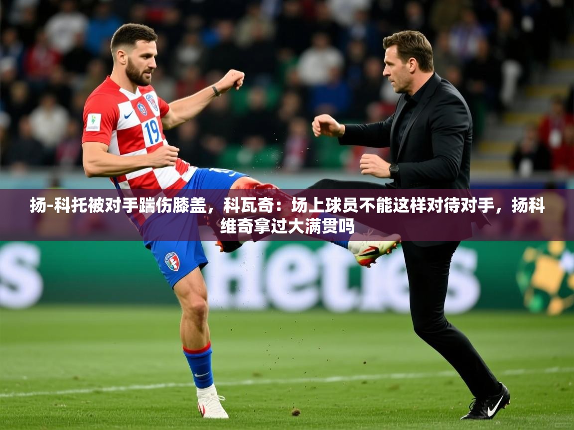 2025安博体育在线官网登录扬-科托被对手踹伤膝盖,科瓦奇:场上球员不能这样对待对手,扬科维奇拿过大满贯吗 第4张