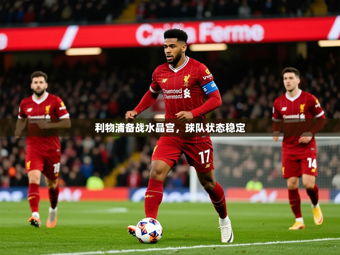 2026安博体育官网利物浦备战水晶宫，球队状态稳定  第4张